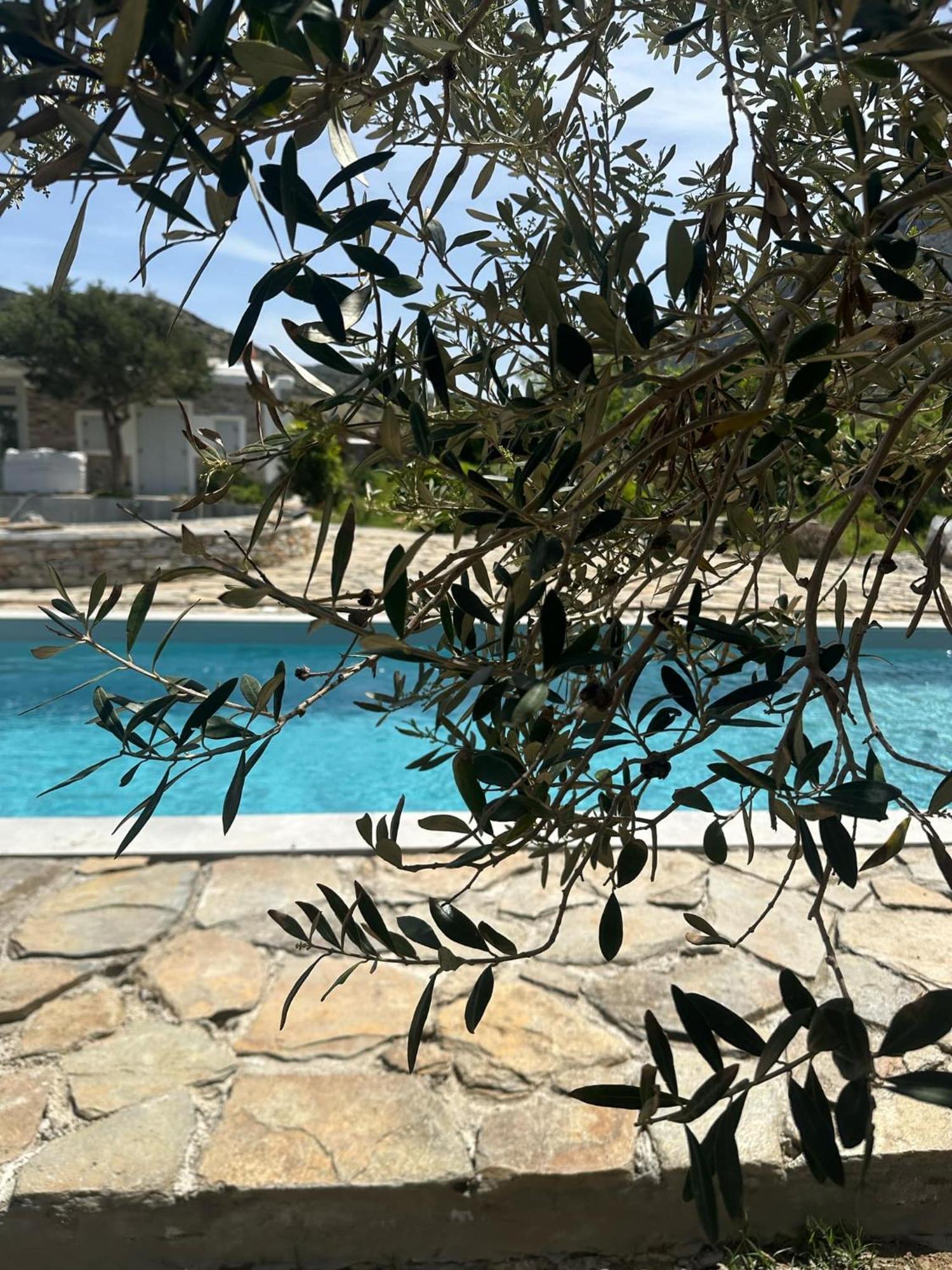 Villa River With Pool Kamares  Eksteriør billede